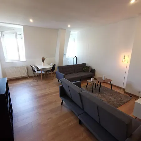 Cosy'home Ravissant Bien Situe Apartment *